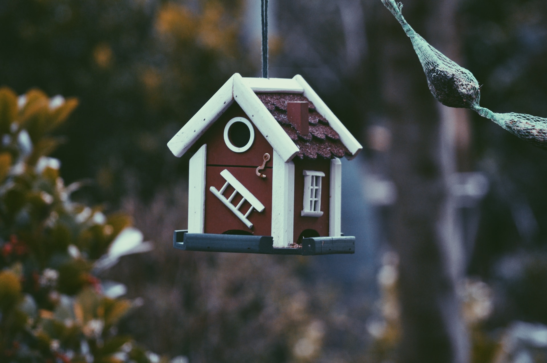 Respite/short term accommodation