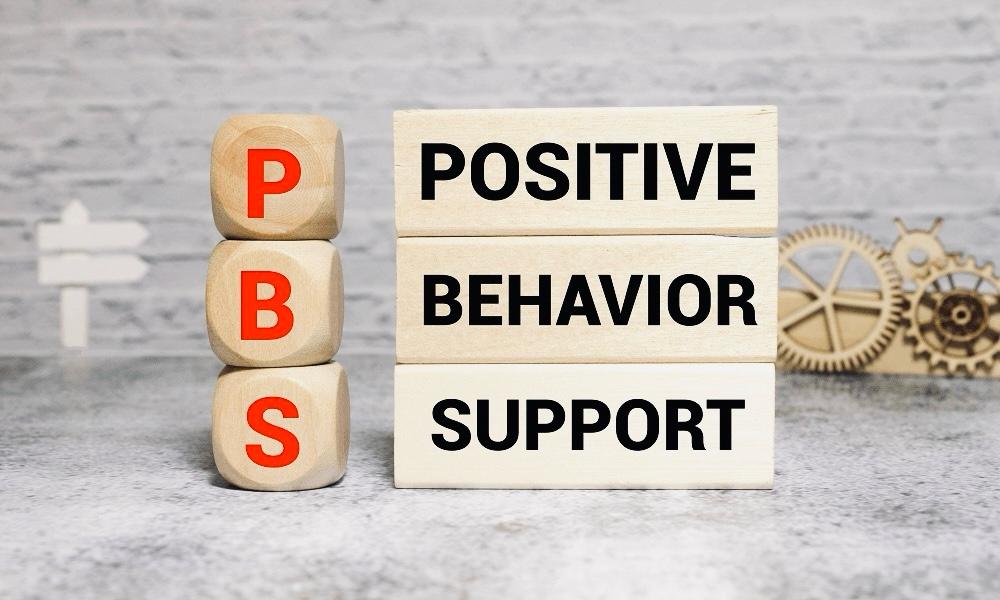 Behaviour support and intervention